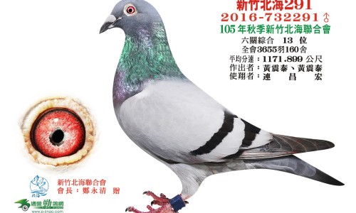 四岁宝宝阴茎漏不出来怎么回事网—知名的4岁半孩子小鸡翻不出来严重吗网站,分享4岁男宝阴痉下弯是什么原因知识